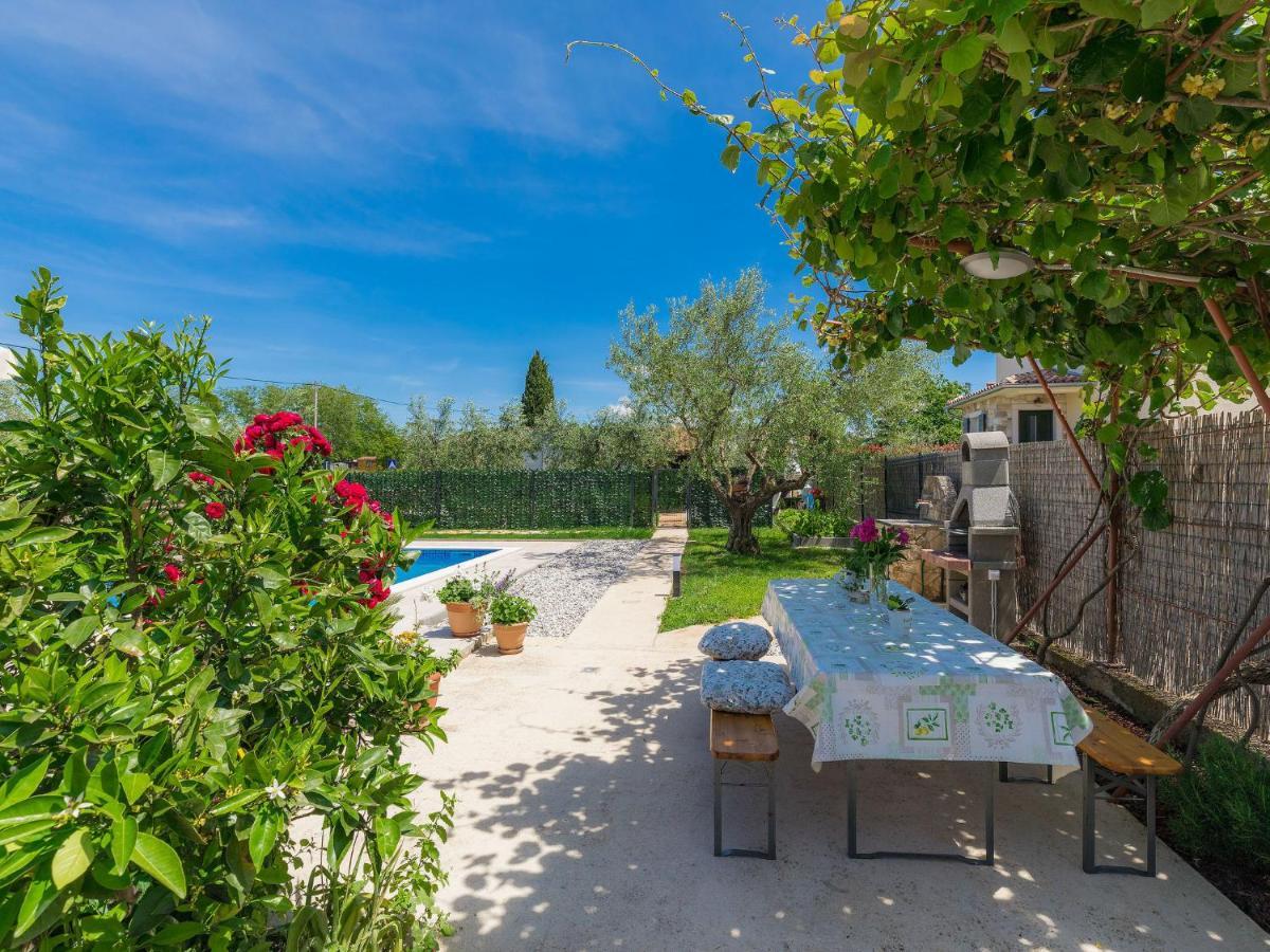 Apartment Chiara By Interhome Novigrad Istria 外观 照片