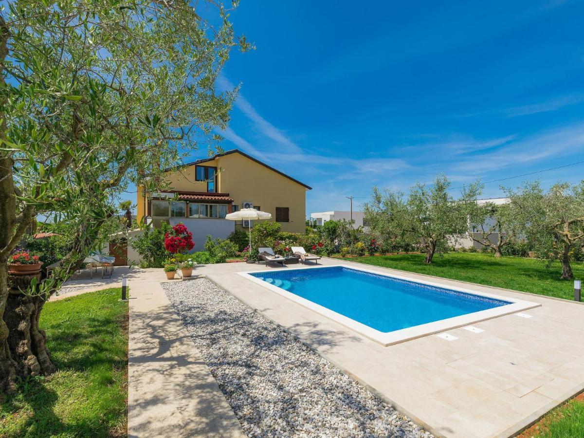 Apartment Chiara By Interhome Novigrad Istria 外观 照片