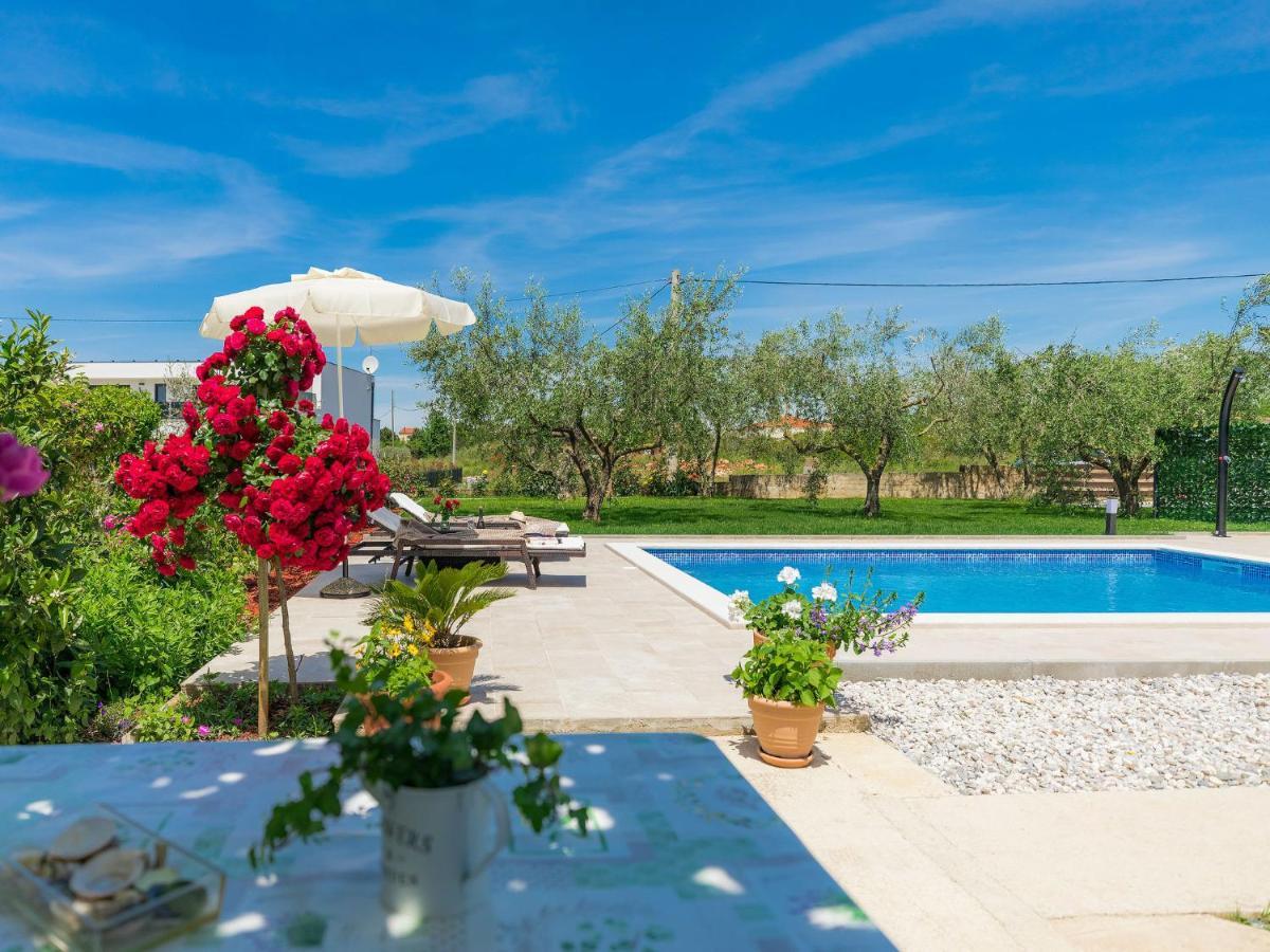 Apartment Chiara By Interhome Novigrad Istria 外观 照片