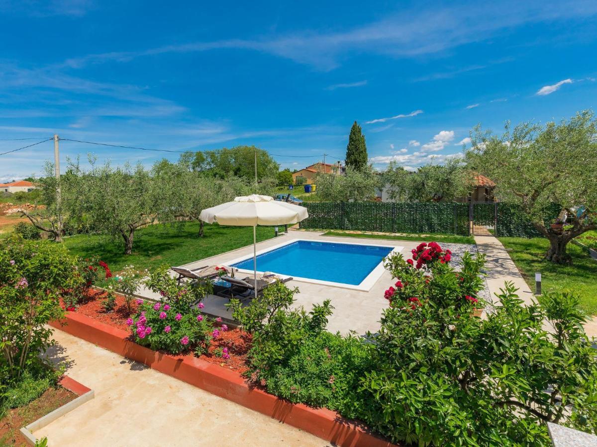 Apartment Chiara By Interhome Novigrad Istria 外观 照片