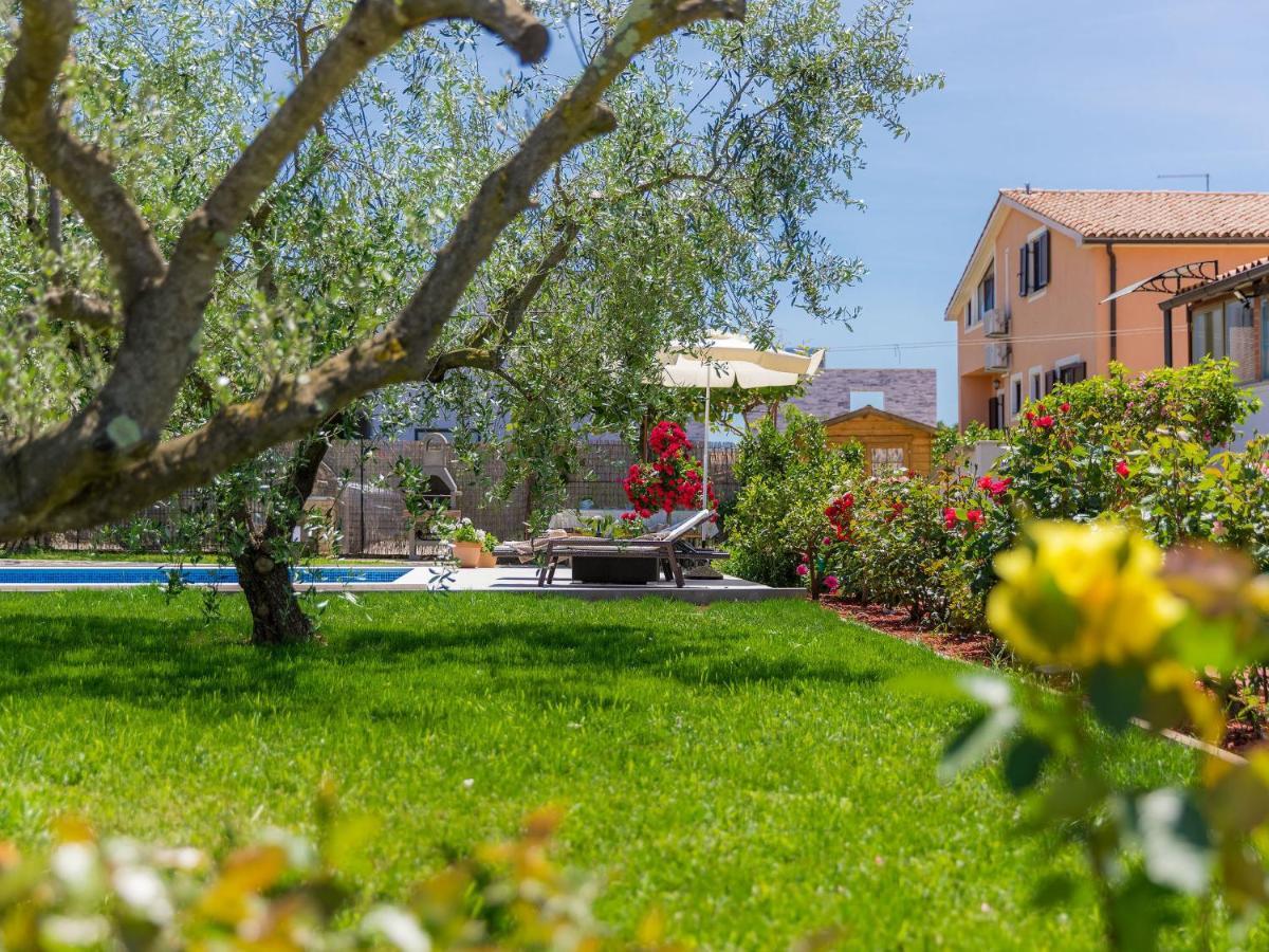 Apartment Chiara By Interhome Novigrad Istria 外观 照片