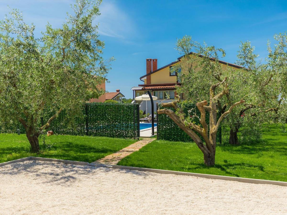 Apartment Chiara By Interhome Novigrad Istria 外观 照片