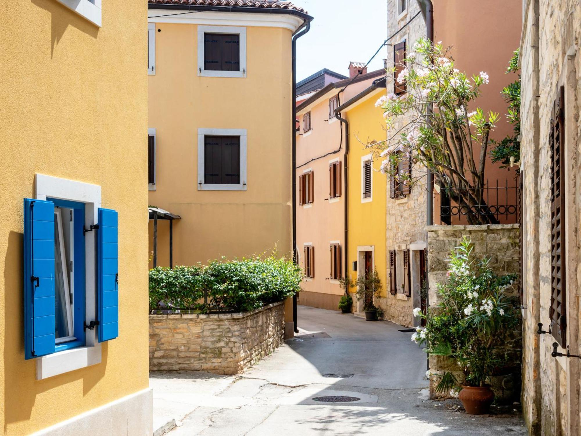 Apartment Chiara By Interhome Novigrad Istria 外观 照片